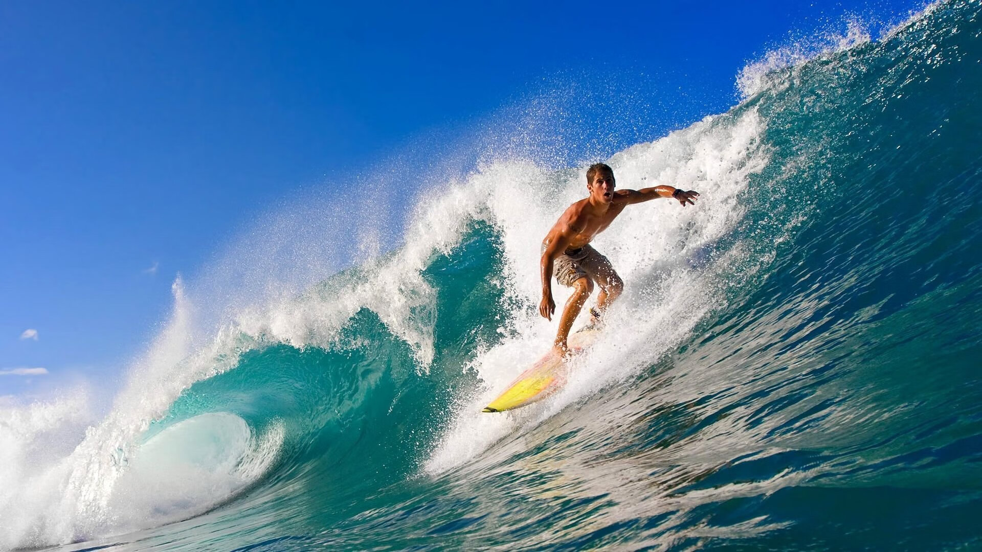 双王记,篮球世界的两场君临